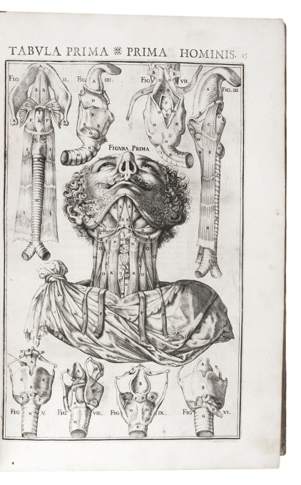 Beautifully illustrated first accurate monograph on the larynx, heavily influenced by Galen by Giulio Casserio