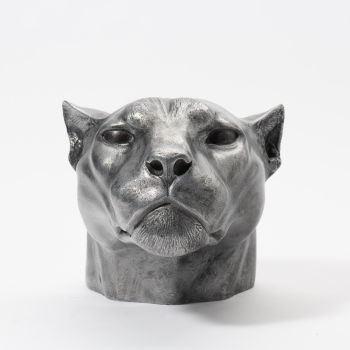 Jaguar Head II by Chris Tap