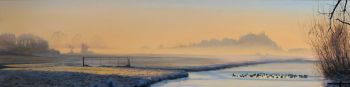 Meerkoeten in ijzige polder by Natascha van den Berg