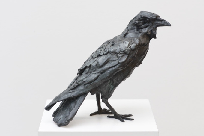 Crow by Jacqueline van der Laan