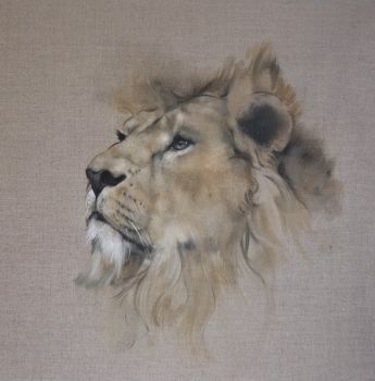 Lion by Justin Coburn
