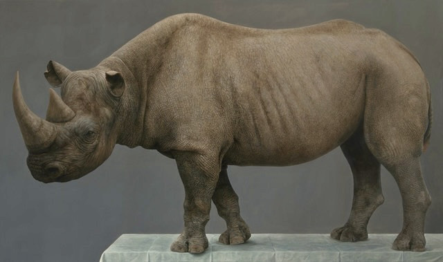 Rhino by Bart Koning