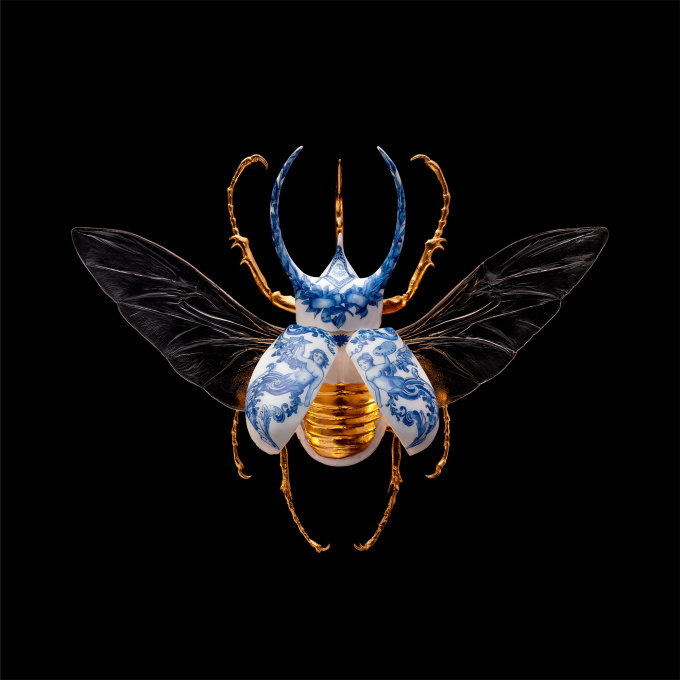 Anatomia Blue Heritage, Atlas Beetle Open, by Samuel Dejong