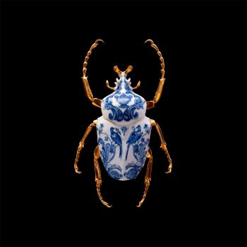  Anatomia Blue Heritage, Goliath Beetle Closed by Samuel Dejong