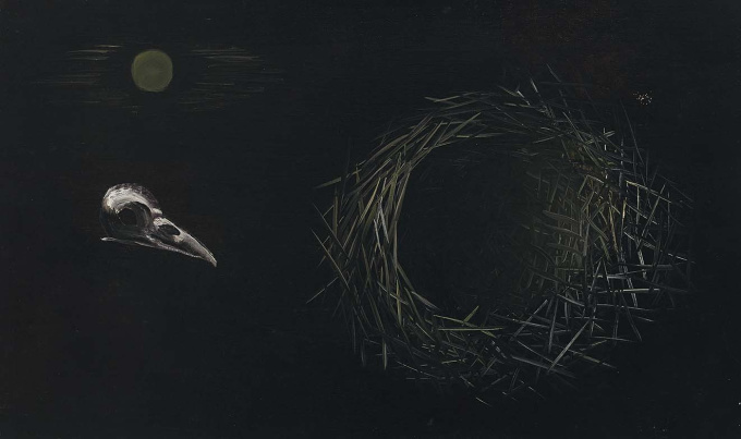 Vogelkopje en nestje by Tinus van Doorn