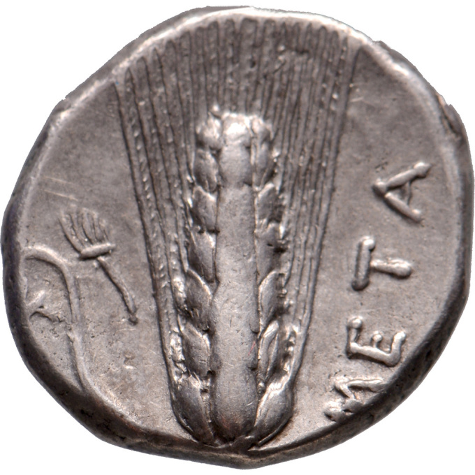 AR Stater Lucania, Metapontum by Unknown artist