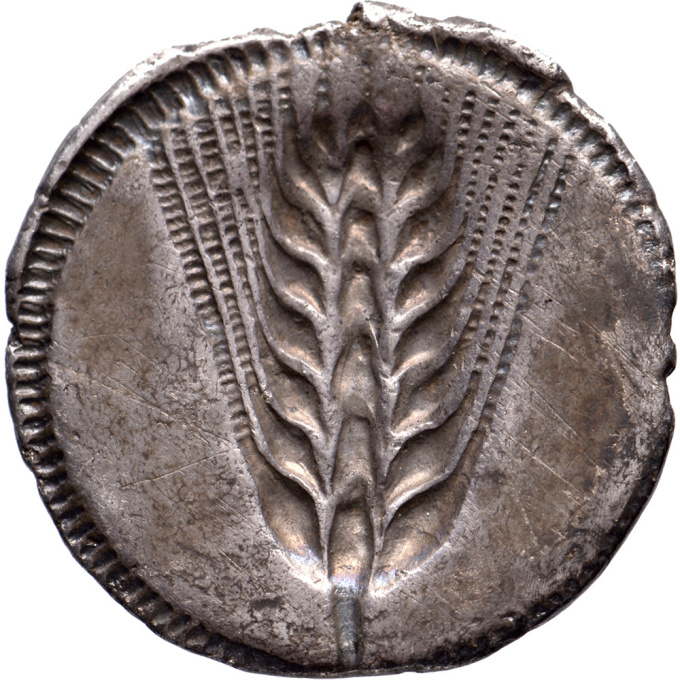 AR Stater Lucania, Metapontum by Unknown artist