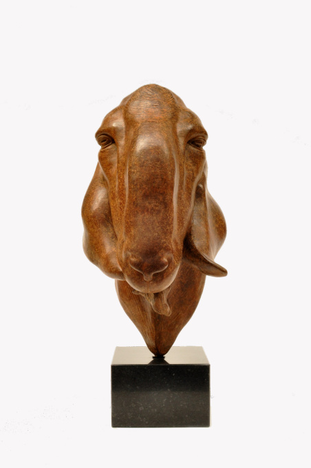 Nubian goat, Robbin by Renée Marcus Janssen