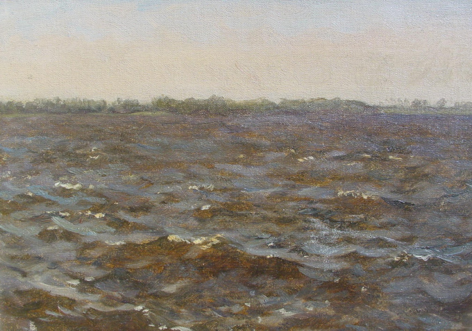 Rough water by Willem Bastiaan Tholen