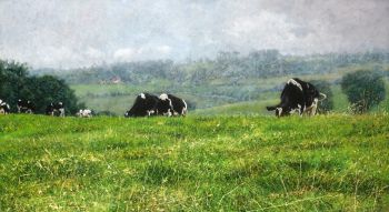 Grazend vee in Voeren by Walter Elst