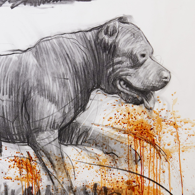 Bull Dog by Nico Vrielink