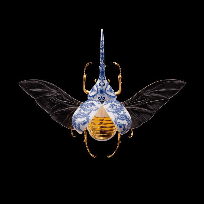 Anatomia Blue Heritage - Hercules Beetle Open Wings by Samuel Dejong