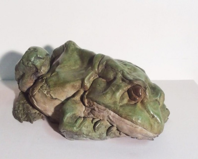 Sleeping frog by Pieter Vanden Daele