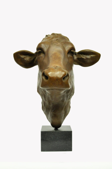Dutch Cow, Blaarkop, Aleida by Renée Marcus Janssen