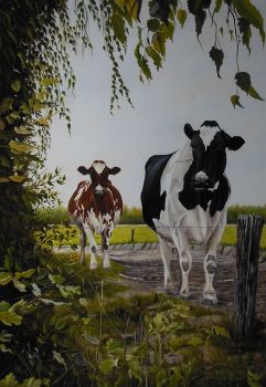 Walking red and black and white cows by Jan Teunissen