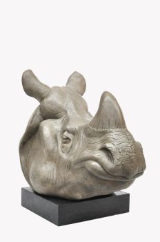 Indian Rhino, Boaz by Renée Marcus Janssen