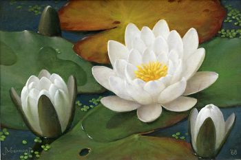 water lilies by Jan jr Voerman