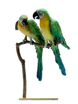 Koppel papegaaien by Madeleine van der Knoop