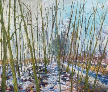W-sneeuw by Gertjan Scholte-Albers