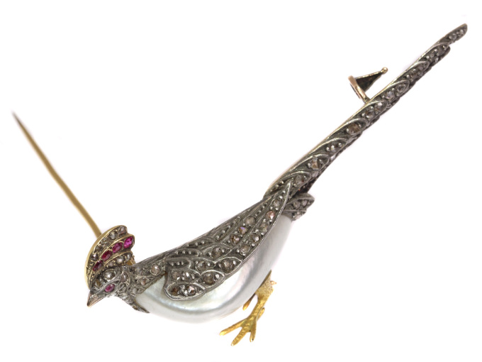 Antique French Victorian bird brooch pheasant with rubies and rose cut diamonds by Artista Desconhecido