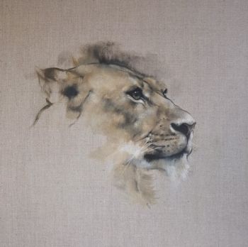 Lioness by Justin Coburn