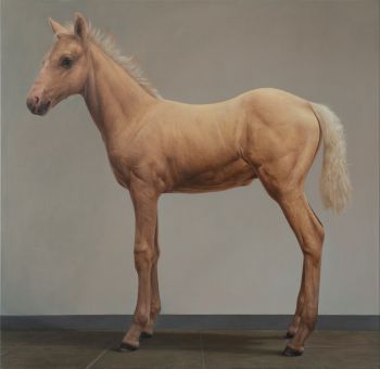 Foal by Bart Koning