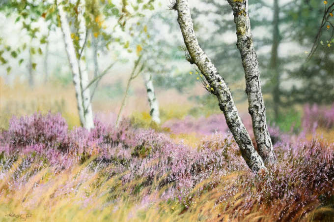 Heide in bloei by Walter Elst
