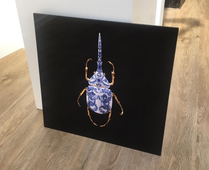 Anatomia Blue Heritage, Atlas Beetle Open, by Samuel Dejong