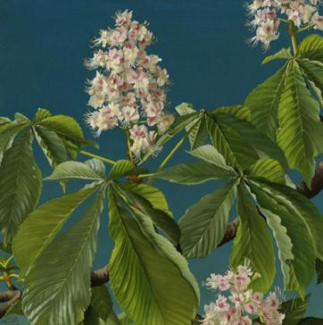 Blossom branche by Lodewijk Bruckman